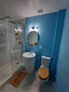 ein blaues Bad mit einem WC und einer Dusche in der Unterkunft Appartement terrasse, quartier très prisé in Lège-Cap-Ferret