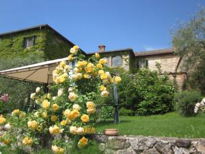einen Blumenkranz auf einem Zaun im Hof in der Unterkunft La Locaia in Siena