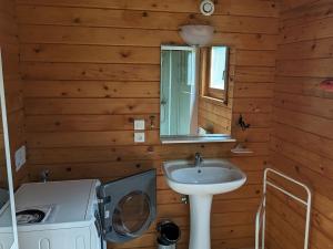 a bathroom with a sink and a mirror at Gîte Taintrux, 4 pièces, 6 personnes - FR-1-589-222 in Taintrux