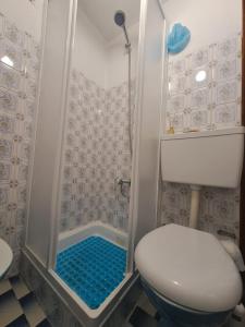 a bathroom with a shower with a toilet and a sink at Casa Terreiro Da Lapa in Quintela +39 photos