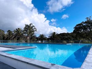 a large blue swimming pool with trees in the background at Haruru Falls Motel & Conference Centre in Paihia