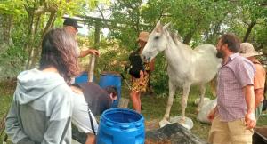 Άλλα ζώα σε αυτό το κάμπινγκ ή στη γύρω περιοχή +73 φωτογραφίες