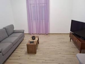 sala de estar con sofá y TV en Apartments by the sea Tkon, Pasman - 21492, en Tkon