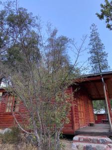 una cabaña de madera con un árbol delante en Rancho el Chilcal Cabañas con vista al rio, en San Alfonso