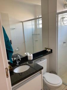 La salle de bains est pourvue de toilettes, d'un lavabo et d'un miroir. dans l'établissement Apartamento do Renan, à Espirito Santo Do Pinhal