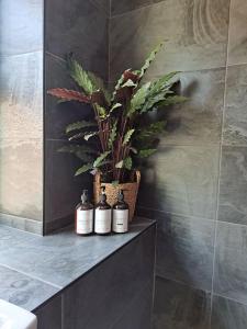 three bottles of essential oils sitting on a shelf in a bathroom at Modern city house in Southampton