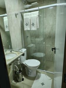 Apt 202 e 203 no ZUPPOLINI GARDEN HOTEL Bananeiras PB في بانانيراس: حمام مع مرحاض ودش زجاجي