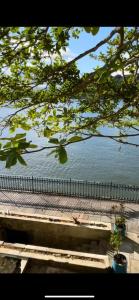 a view of the ocean from under a tree at Hostel Parque Prainha in São Vicente