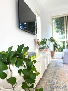 Billede fra billedgalleriet på Wood Beachside Home Lennox Head i Lennox Head