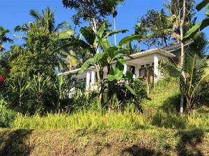 a white house in the middle of a field at Tetebatu Fullmoon in Tetebatu