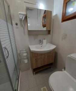 a bathroom with a sink and a toilet and a shower at Andre House in Mesimvría