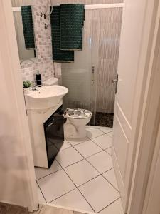 a bathroom with a toilet and a sink and a shower at Apartman Zrinka in Jesenice