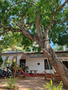 uma casa com uma corda vermelha amarrada a uma árvore em The White House em Trincomalee