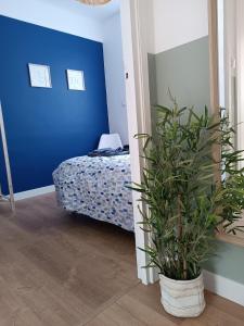 een blauwe slaapkamer met een bed en een potplant bij chez Clem in Calais