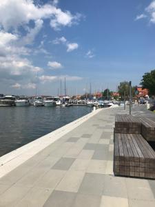 a bench next to a marina with boats in the water at Trzy Żagle in Mikołajki