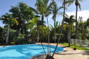 - une piscine bordée de palmiers dans une cour dans l'établissement La Perle du Sable Blanc, à Saint-Gilles les Bains