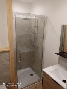 a shower with a glass door in a bathroom at Appartement RDC in Cherbourg en Cotentin