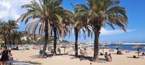 people on a beach with palm trees and the water at Le Lavandou 6 pers. + parking privé + terrasse (au calme) in Le Lavandou
