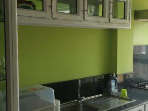 a kitchen with a sink and a green wall at complexe les rosiers in Rose Hill