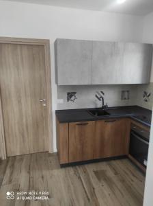 uma cozinha com armários de madeira, um lavatório e uma porta em Appartement F2 meublé em Loculi