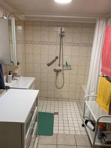 a bathroom with a shower and a sink at kleines Ostfriesenhaus mitten im Grünen, Mindestaufenthalt 3 Tage, bitte vorher anfragen in Osteel