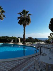 a swimming pool with a palm tree and a table at Przytulny apartament w Belvedere Marittimo in Belvedere Marittimo