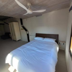 1 dormitorio con 1 cama grande y ventilador de techo en CAL MA Ponts, en Ponts