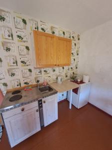 una cucina con lavandino e piano di lavoro di Imantas a Salacgrīva