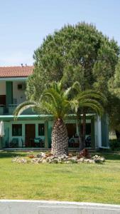 twee palmbomen in een tuin voor een huis bij Alexandros Hotel Apartments in Vourvourou