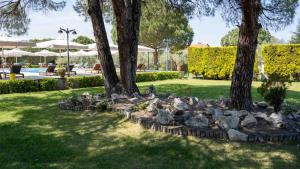 a group of trees and rocks in a park at Alexandros Hotel Apartments in Vourvourou