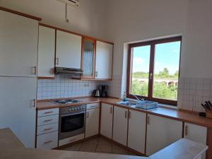 Kuchyň nebo kuchyňský kout v ubytování Apartments Pavlovic