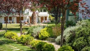 a garden in front of a house with trees and bushes at Alexandros Hotel Apartments in Vourvourou