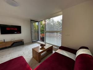 ein Wohnzimmer mit einem Sofa und einem großen Fenster in der Unterkunft GRAND HYATT APPARTMENTS in Podhájska