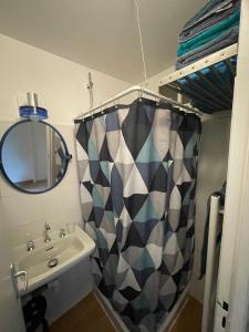 y baño con lavabo, espejo y cortina de ducha. en Large Chalet Near Gorges du Verdon, en La Bastide