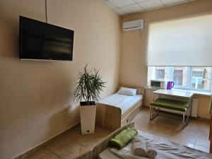 Habitación con cama y TV en la pared. en Coin Apartments & Poshtel en Chernivtsi