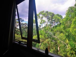 a window with a view of the forest at Karriview in Gracetown