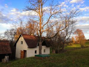 ein kleines weißes Haus mit einem Baum auf einem Feld in der Unterkunft chaloupka Karolinka in Karolinka