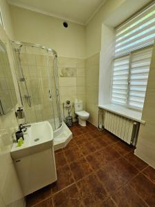 ein Bad mit einer Dusche, einem Waschbecken und einem WC in der Unterkunft Coin Apartments & Poshtel in Czernowitz