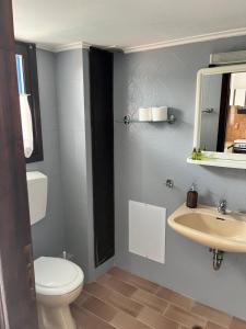 La salle de bains est pourvue de toilettes et d'un lavabo. dans l'établissement Villa Lula, à Nea Stira