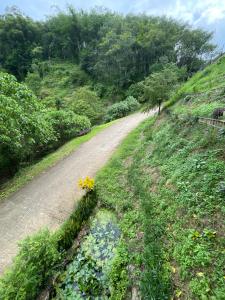 a road with flowers on the side of a hill at Lodge Phang nga boutique in Ban Khaek