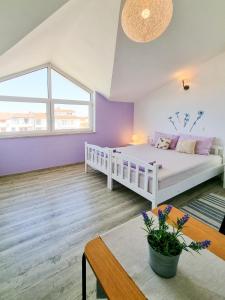 a bedroom with a white bed and purple walls at Eleonora in Banjole