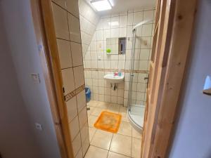 baño pequeño con ducha y lavamanos en Wynajem Pokoi gościnnych Jaś i Małgosia, en Zakopane