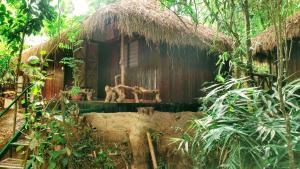 Thirunelli的住宿－KOOMANKOLLY RESORT，丛林中带茅草屋顶的房子