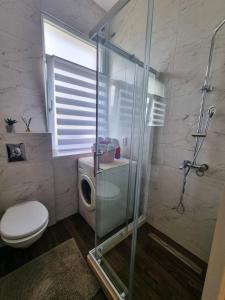 a bathroom with a shower with a toilet and a sink at Villa Danijela in Janjina +18 photos