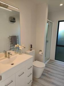 bagno con servizi igienici, lavandino e specchio di Beautiful home near everything! a Christchurch