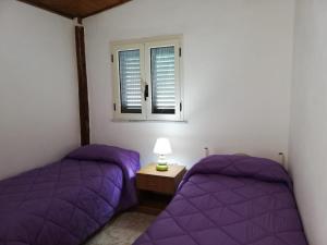 two purple beds in a room with a window at CAMPING MADDALENA in Palinuro