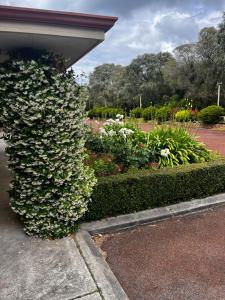 Giardino di Emu Point Motel