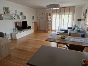 TV a/nebo společenská místnost v ubytování Premium Apartment Maj ****