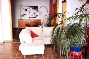 Fotografia z galérie ubytovania La Casa Roja 1 v destinácii La Orotava