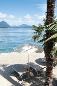 duas espreguiçadeiras e uma palmeira numa praia em Grand Hotel Dino em Baveno